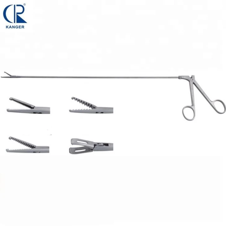 Esophagoscopy Instruments